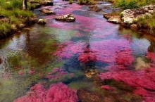 San José del Guaviare